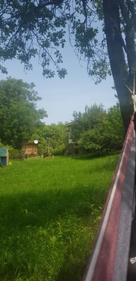 Вилла Casa La Casiru 17 Straja  Экстерьер фото