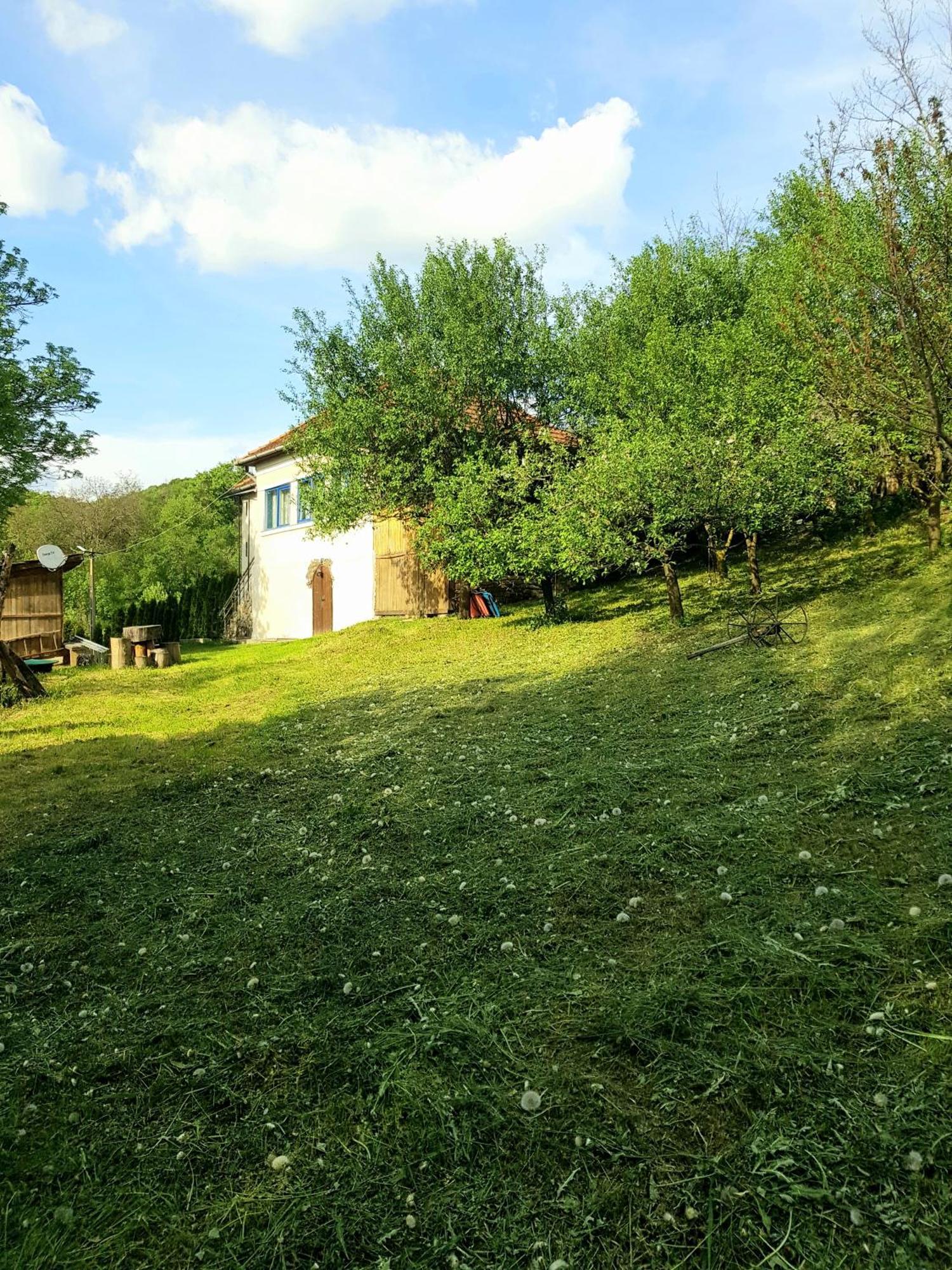 Вилла Casa La Casiru 17 Straja  Экстерьер фото